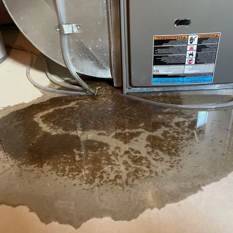 Pipe Burst and Leak Restoration in Lyons, IL